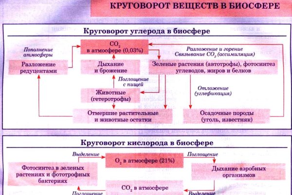 Омг омг площадка